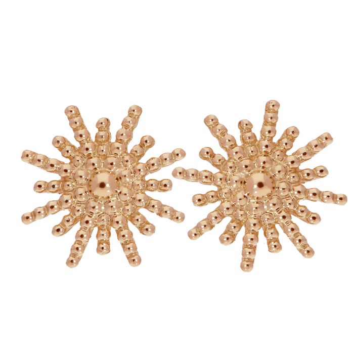 BASIC saulės motyvo auskarai - vinutės